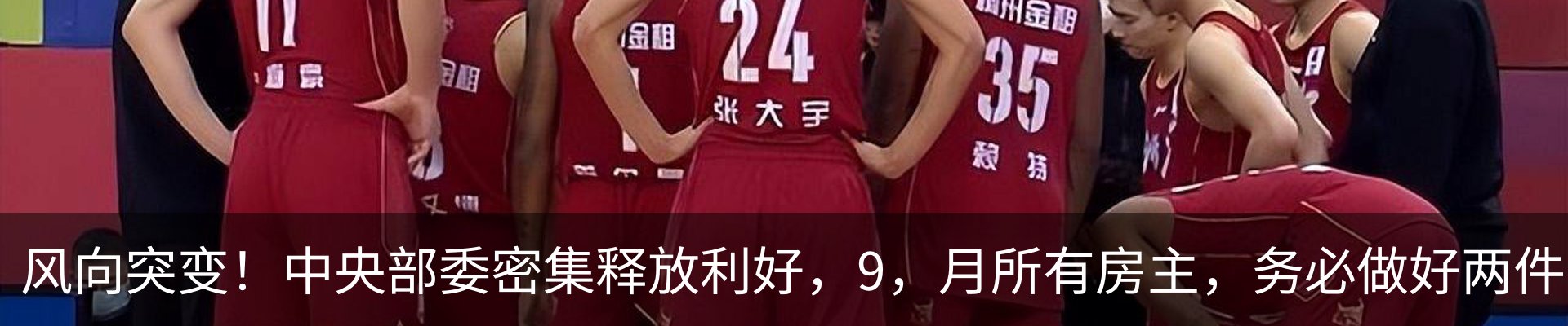 新闻动态