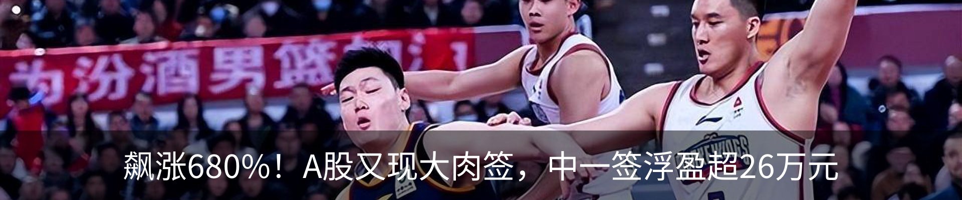 新闻动态