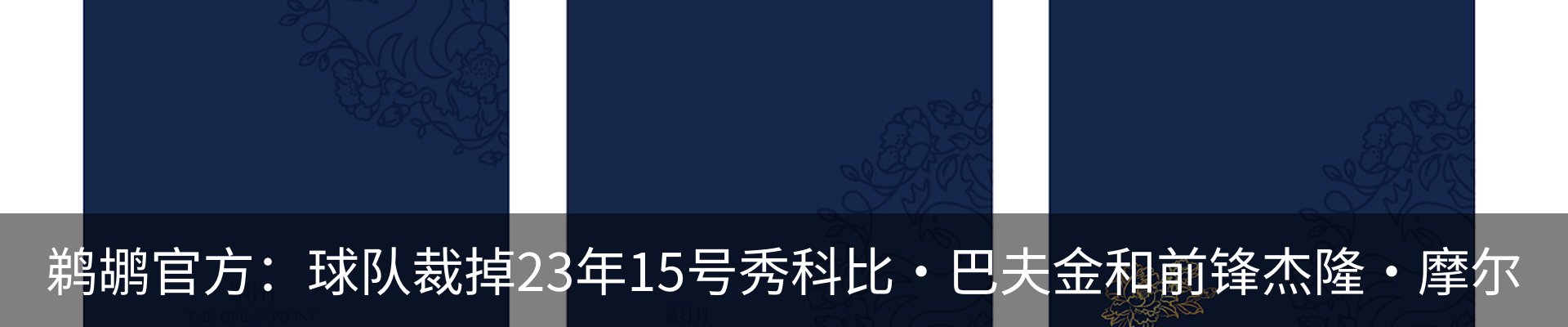新闻动态