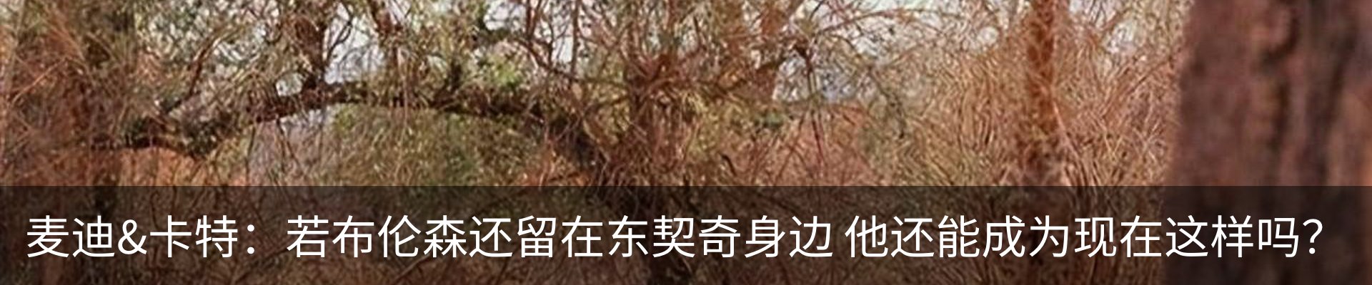 新闻动态