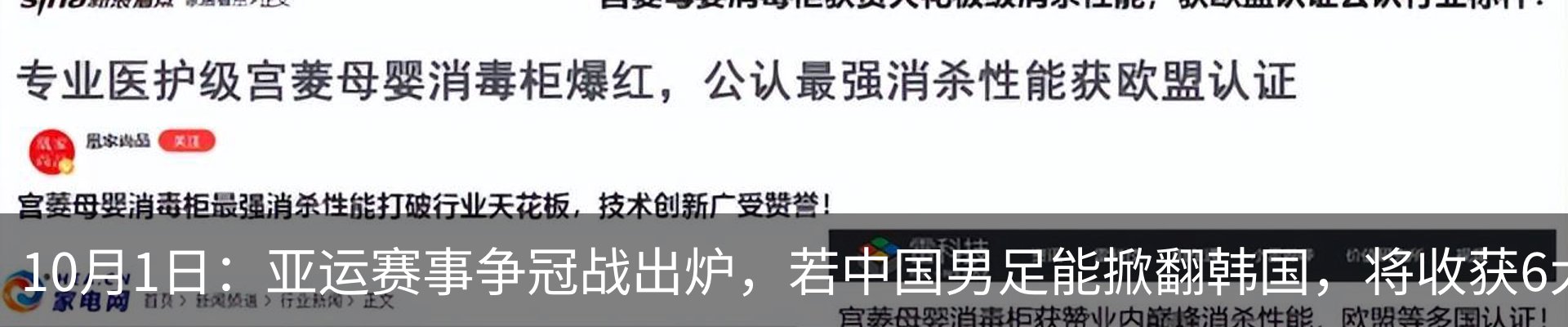 新闻动态