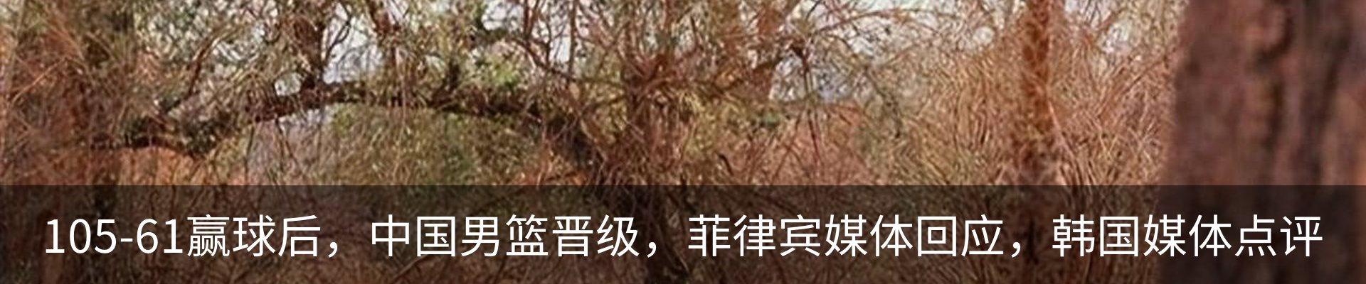 新闻动态