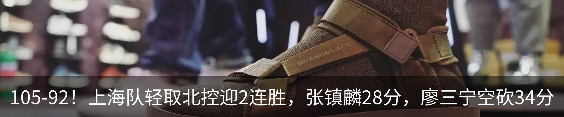 新闻动态