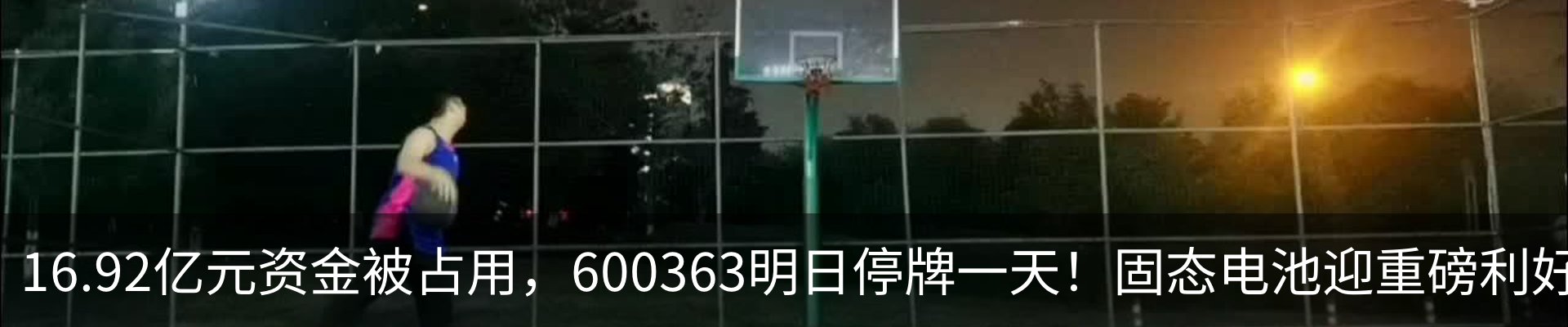 新闻动态