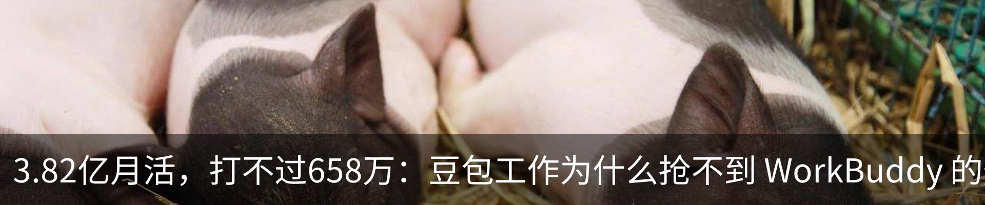 新闻动态