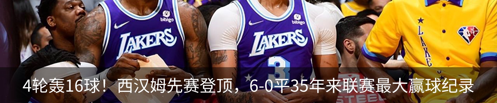 新闻动态