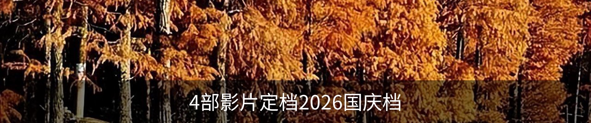 新闻动态