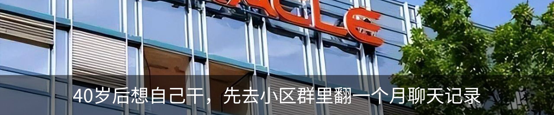 新闻动态