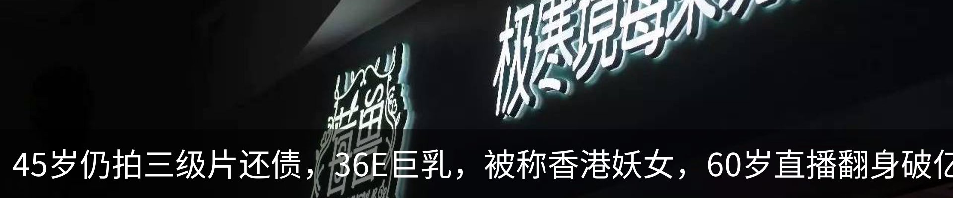 新闻动态