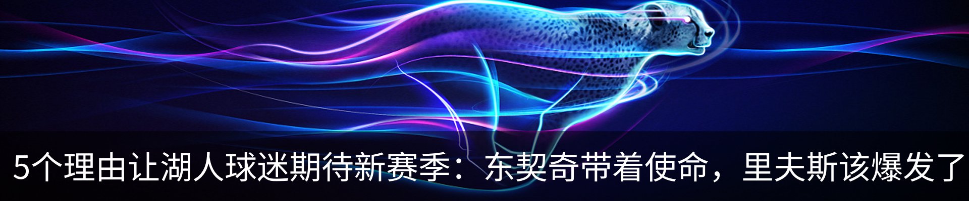 新闻动态