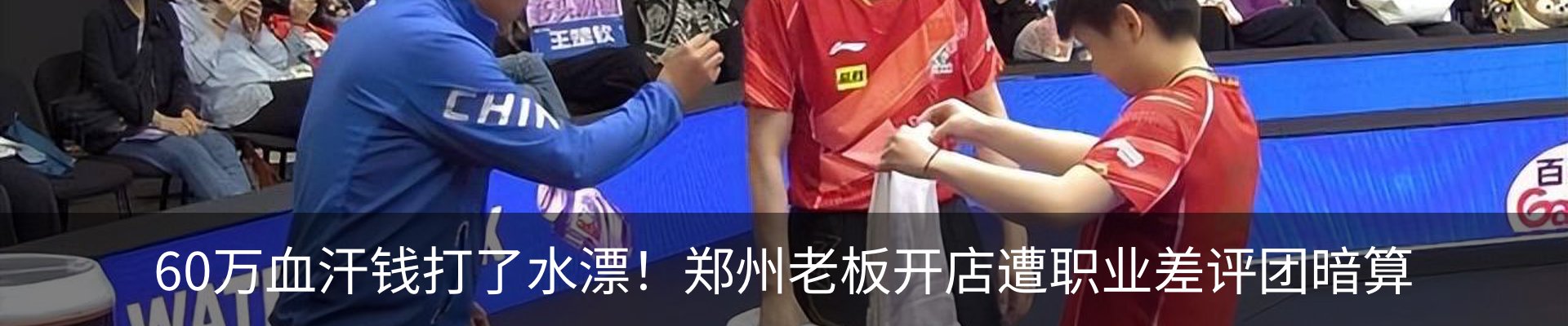 新闻动态