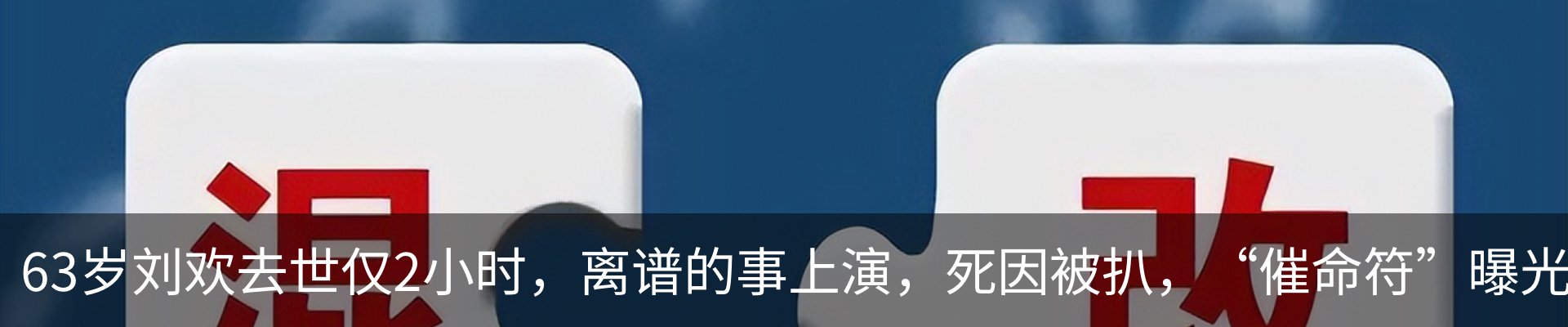 新闻动态