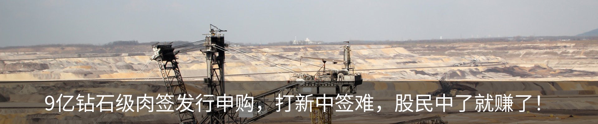 新闻动态