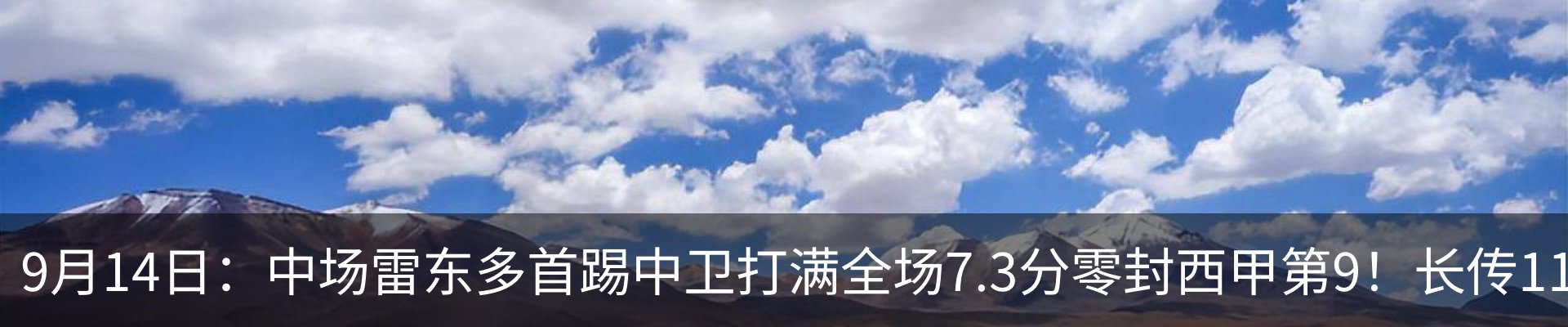 新闻动态