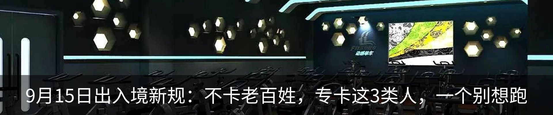 新闻动态