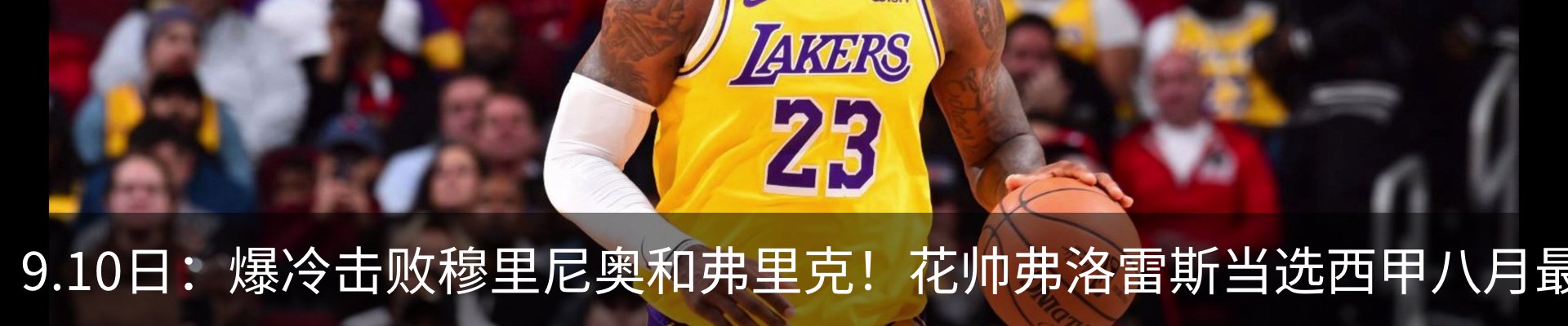 新闻动态