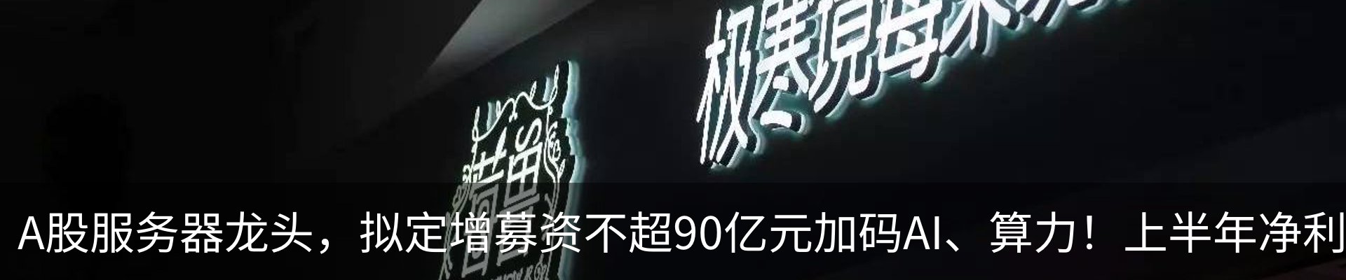新闻动态