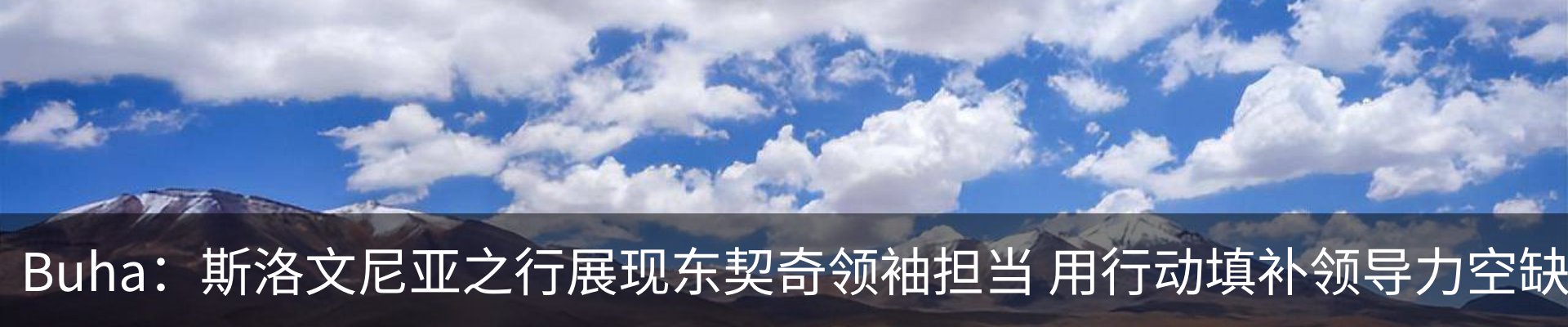 新闻动态