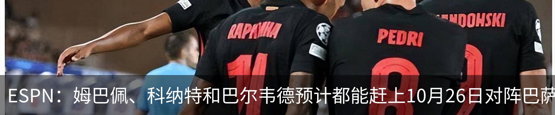 新闻动态