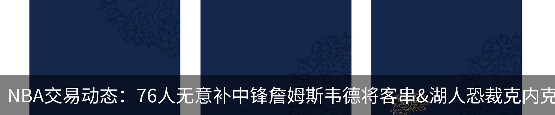 新闻动态