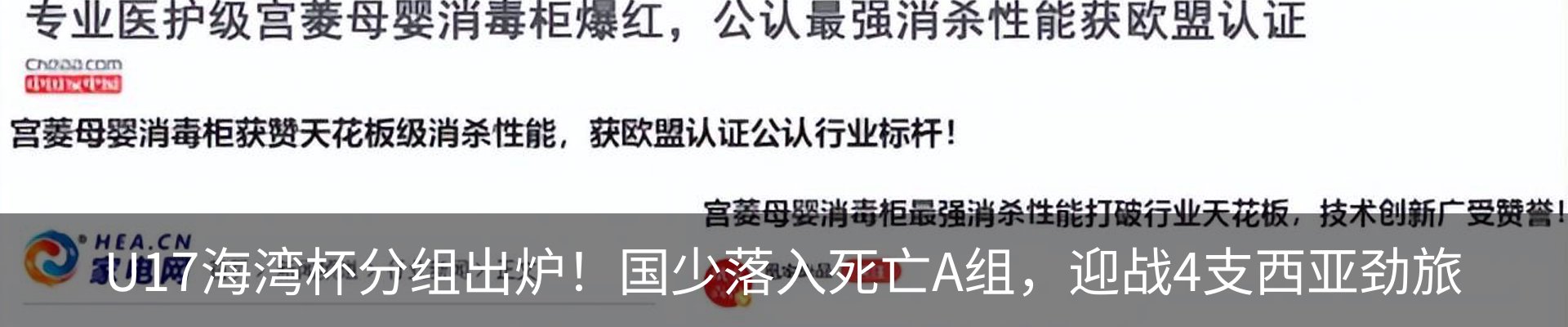 新闻动态
