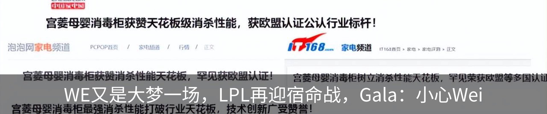 新闻动态