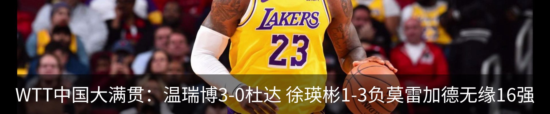 新闻动态