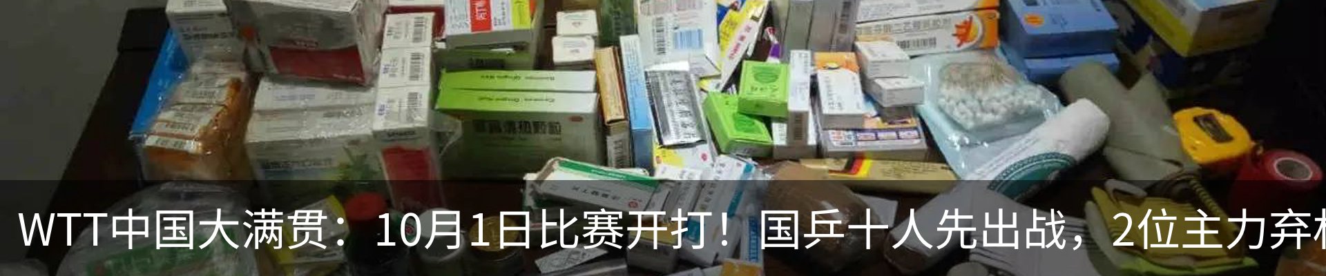 新闻动态